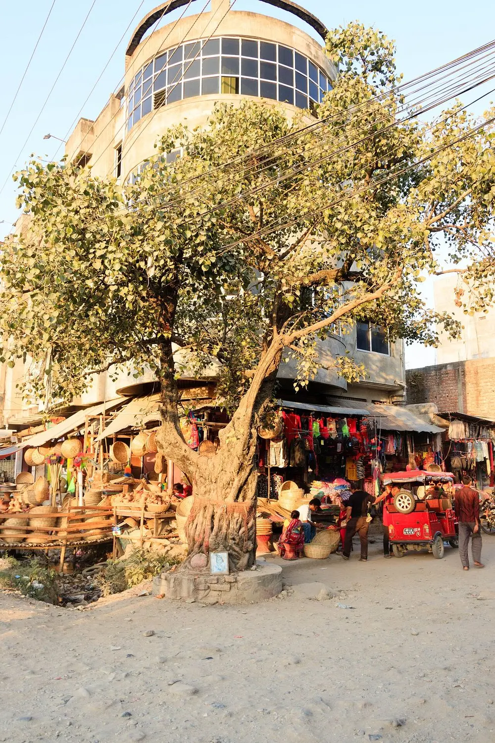 Late sun on a large tree above market stalls selling clay pots and baskets, with an auto-rickshaw on the street.