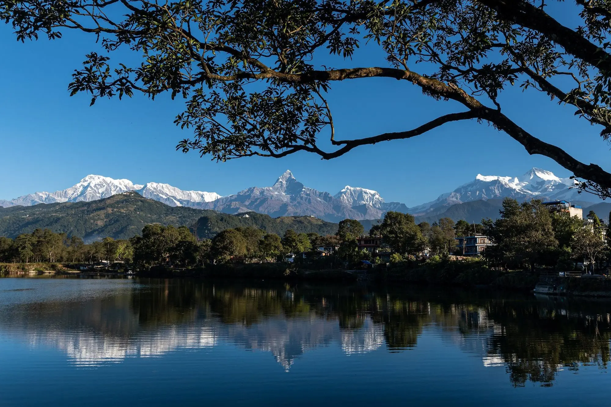 Snow peaks and a wooded shore mirrored in a still lake, framed by the branches of a tree.