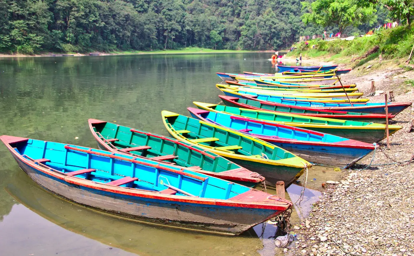 Rows of brightly painted wooden rowing boats moored at the edge of Phewa Lake.