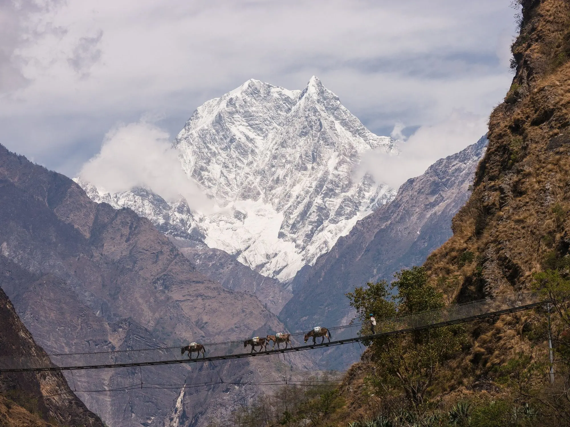 A long suspension bridge across a deep river gorge, a line of pack animals crossing it, under a snow-covered peak.